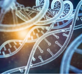 Epigenetics -Your DNA is NOT your destiny